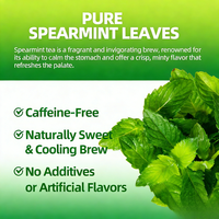 Sachets de thé à la menthe verte OEM, complément alimentaire naturel à base de plantes, 2g, végétalien, sans OGM, pour la santé bucco-dentaire et le soutien digestif, 20 sachets