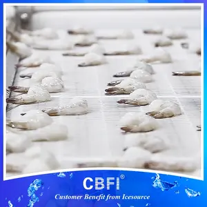 Deniz ürünleri/karides için 2000 kg/saat tünel dondurucu IQF hızlı dondurma makinesi