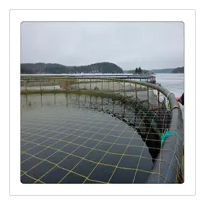 HDPE Pipe Offshore Anti Wave Cage for Trout in Peru DN250mm Floating Traps