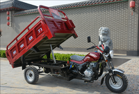 Moto à essence 200CC Tricycle cargo à trois roues Boîte de vitesses automatique Moto cargo