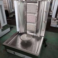 Machine professionnelle électrique de découpe/découpe automatique de viande, trancheur à gaz, pour bœuf, poulet frais, Shawarma et Kebab