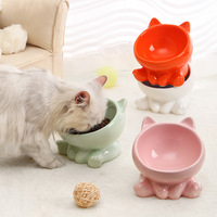 Animal Chien Accessoires Produits Meilleures Ventes Luxe Surélevé Petit Chien Chat Céramique Bol alimentaire Distributeurs