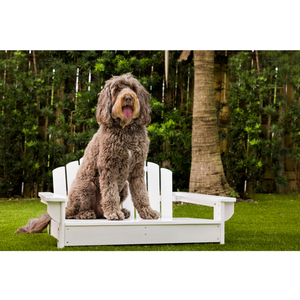Cama <span class=keywords><strong>para</strong></span> perros elevada al aire libre <span class=keywords><strong>para</strong></span> lavar el sueño y la comodidad de la circulación de aire - Product Image 5