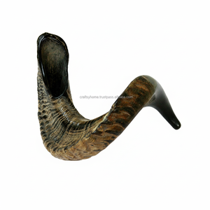 Shofar Grande de Cuerno de Carnero Pulido, Color Natural, Alta Calidad, Decoración Religiosa para el Hogar, Artesanía - Product Image 1