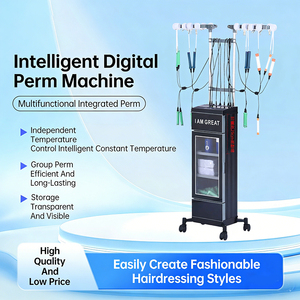Machine à permanente professionnelle avec contrôle intelligent de la température et dispositif de coiffage numérique sécurisé - Product Image 3