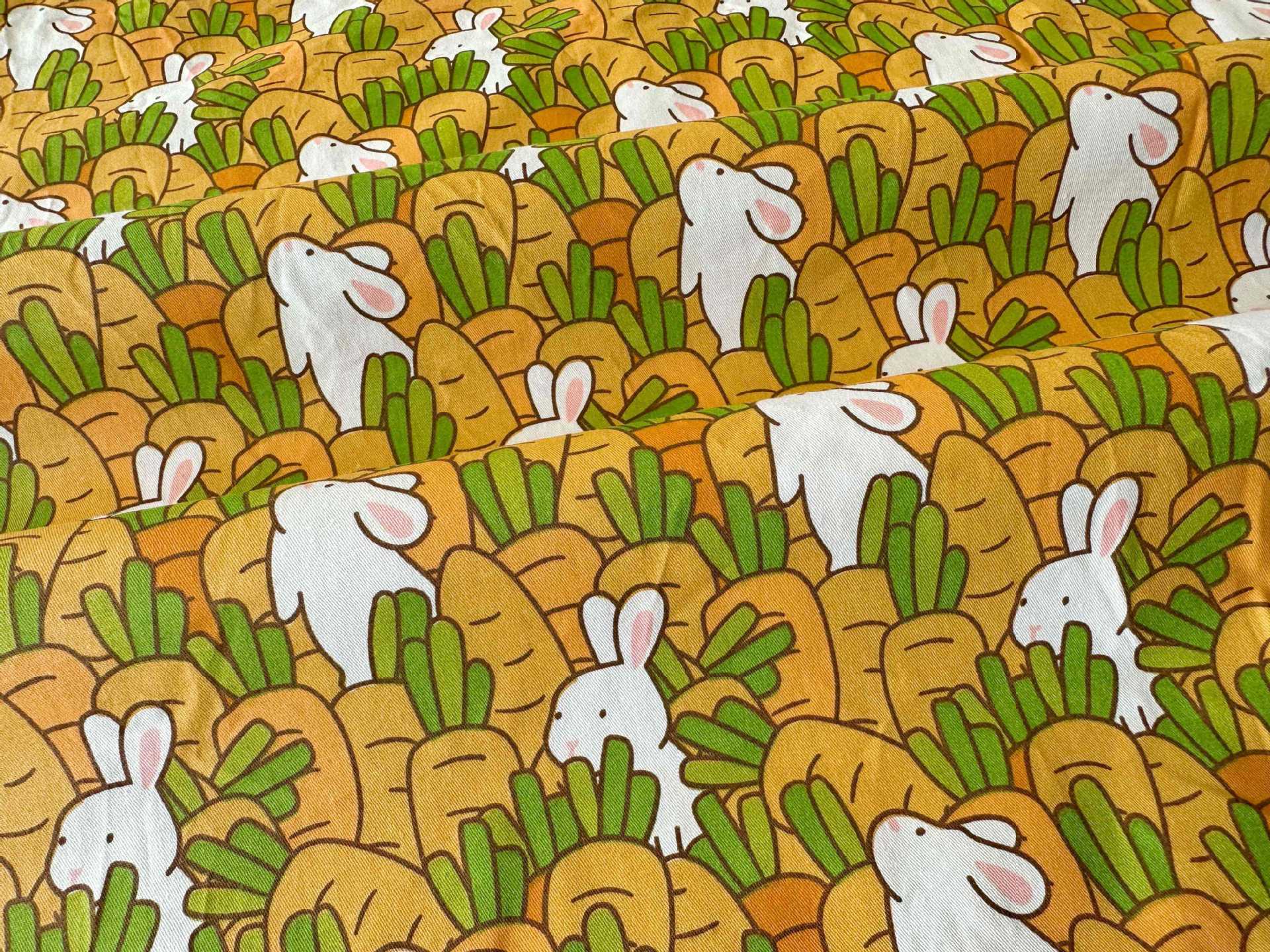 Lapin carotte