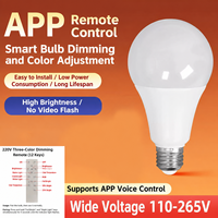 Ampoule LED intelligente à télécommande infrarouge 2,4 G A60 E27 à vis, gradation infinie, éclairage intérieur domestique