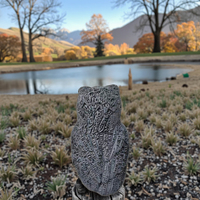 Statue de Hibou Bébé en Plastique pour Chasse et Dissuasion d'Oiseaux dans le Jardin et l'Extérieur