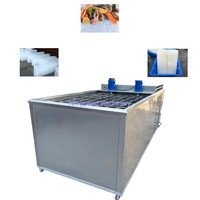 Machine de fabrication de blocs de glace multifonctionnelle en acier inoxydable de 1 tonne Capacité de 20 tonnes Stockage de 50kg Stockage de 15kg 220V pour l'Afrique du Sud
