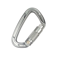 Mousqueton en aluminium Jensan 22kN de type D avec verrouillage automatique Les plus populaires pour l'escalade et le hamac pour l'exploitation minière
