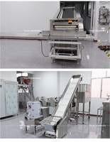 Ligne de production de nouilles d'idées commerciales rentables Nouilles chinoises faisant la machine Machine automatique à nouilles
