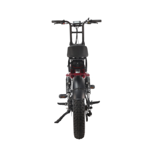 Prix d'usine Vélo électrique à pneus larges 48V 500W à 7 vitesses avec capteur, modèle ATV08 Plus, roue de 20 pouces, batterie 15Ah, cadre en aluminium - Product Image 6