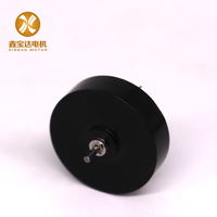 XBD-2607 12V Platte Motor Gebruik Voor Tattoo Pen Alternatieve Maxon Platte Dc Motor Coreless