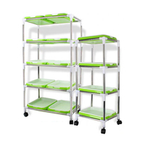 GREENPOWER Germeur de graines de blé sain à 4 couches, personnalisable, robuste, réutilisable, écologique, avec plateaux rectangulaires en plastique pour la maison