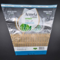 Sacs en CPP de qualité alimentaire thermosoudés, impression en gravure, résistants à l'humidité, recyclables, personnalisables