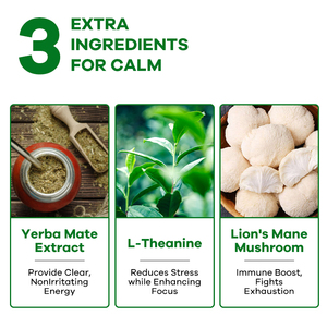 Мгновенный порошок Yerba Mate персиковый манго Львиная Грива L-теаниновые пробиотики пребиотики для энергетического здоровья кишечника - Product Image 2