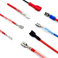 Harnais de câblage personnalisé JST SHD 1.0 300mm, assemblage de câbles PVC 2x15P pour appareils électroménagers, machines, automobiles et électronique OEM/ODM