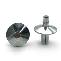 Rivets métalliques sur mesure à tête fraisée, disponibles en différentes tailles et couleurs pour meubles et boîtiers électroniques