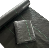 Toile tissée anti-mauvaises herbes, tissu de couverture du sol, barrière anti-herbe, couleur noire, pour usage agricole