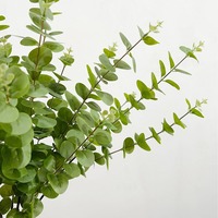 Daun Eucalyptus Buatan 3 Cabang, Dekorasi Rangkaian Bunga Meja, Dekorasi Tanaman Hijau Lorong Pernikahan