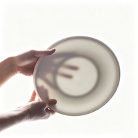 Assiettes en Porcelaine Blanche Ronde et Plate en Gros pour Hôtels, Traiteurs et Restaurants – Assiettes de Service