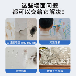 Artistic Foolbird Wall Repair <b>Paste</b> 250g Odorless Waterproof For Home Renovation - Product Image 4