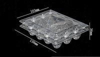 Prix Usine Boîte d'Emballage pour Œufs de Caille en Plastique PET Transparent 12 Alvéoles, Barquette Blister en Plastique pour Œufs de Caille