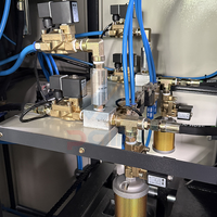 Machine de soufflage semi-automatique 2 cavités pour bouteilles d'eau PET 3L, directement de l'usine, pour eau minérale, moulage par étirage-soufflage, OEM ODM