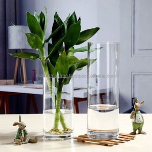 Jarrón de Vidrio Cilíndrico Alto, Moderno, Transparente, de Alta Calidad, para Decoración del Hogar, en Caja Individual, Precio de Fábrica al por Mayor - Product Image 4