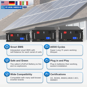 แบตเตอรี่โซลิดสเตทแบบติดตั้งบนแร็ค LFP51200 51.2V 5/10/15kWh สำหรับระบบกักเก็บพลังงานแสงอาทิตย์ 6000 รอบการใช้งาน ยี่ห้อ DELONG แบบแร็ค - Product Image 4