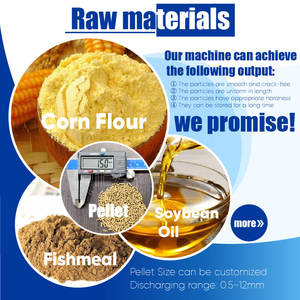 Machine à granulés RICHI certifiée CE pour petites crevettes - Product Image 2