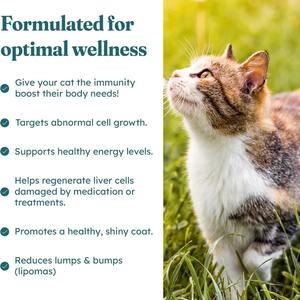 OEM/ODM Friandises à mâcher pour chats et chiens pour soutenir le système immunitaire - Renforcement immunitaire <span class=keywords><strong>naturel</strong></span> pour les compléments alimentaires pour la santé des animaux de compagnie - Product Image 2