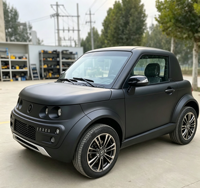 Voiture électrique, voiture à énergie verte, véhicule électrique écologique, crossover électrique, fourgonnette électrique, camion électrique, break électrique, voiture électrique sportive