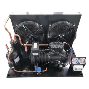 Ventas calientes 5hp 8hp 10Hp 12hp Compresor de unidad de refrigeración de cámara fría integrado plano para almacenamientos fríos de congelador rápido