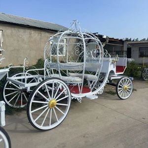 Venta de Autobús Turístico HKBG Retro Estilo Europeo con Diseño de Calabaza y Caballos, Velocidad de 30 km/h, Color Personalizado, Gran Éxito de Ventas - Product Image 4