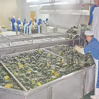 Machine de fabrication de poudre d'oignon et de gingembre industriel Ligne de production de poudre de citrouille
