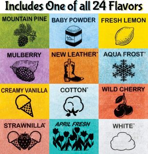 <span class=keywords><strong>D</strong></span>ésodorisant pour voiture 1 gaufre de chaque parfum - Pack avec des produits Ballard - Product Image 3