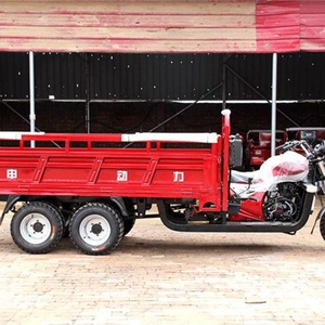 Nouveau design, tricycle motorisé à 5 roues, moteur refroidi par eau de 250 cm³, grande puissance, carrosserie ouverte - Product Image 2