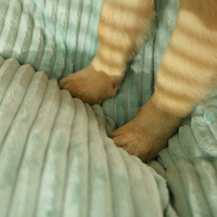 Nouvelle Arrivée Bon Prix Échantillon Gratuit Lit pour Animaux de Compagnie Dormant Amoureux des Chiens Moyens et Grands, Grand Canapé Épais pour Chiens