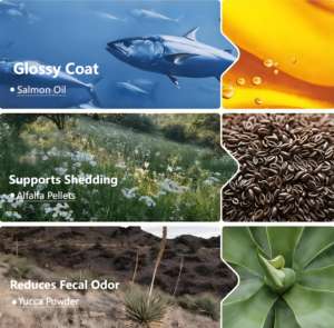 איכות מיוצא מפעל oem פרמיה באיכות גבוהה חלבון יבש חלבון יבש מזון עבור להשיג שרירים לכל הגילאים - Product Image 5