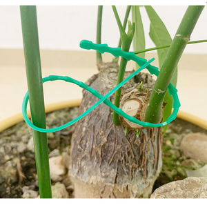 Heavy Duty Soft <strong>Rubber</strong> Buckle Shrub <strong>Ties</strong> Adjustable Interlock Gardening <strong>Tree</strong> <strong>Ties</strong> for Shrub Rose <strong>Tree</strong> Plant Support - Product Image 4