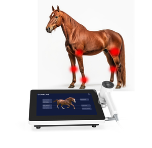 Équipement de thérapie laser de classe 4 pour soulager la douleur chez le chien, le cheval et le chat, utilisation médicale, 810 nm 980 nm pour les blessures aiguës - Product Image 1