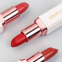 Lápiz Labial Mate Cremoso Herbal Profesional al por Mayor, Etiqueta Privada, Resistente al Agua, Larga Duración, Vegano, 10g, Tamaño Viaje