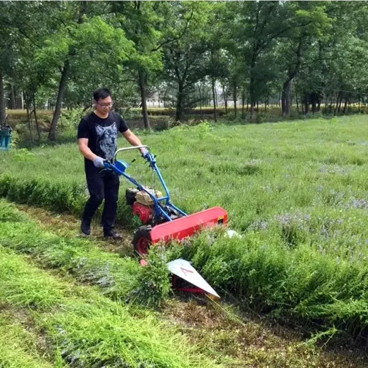 Mini râpeur à riz manuel, tracteur à fonctionnement, bineuse, machine de récolte de blé, combinée