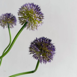 Fleur de boule de neige en <span class=keywords><strong>allium</strong></span> réaliste, durable, faite à la main, en plastique souple - Product Image 3