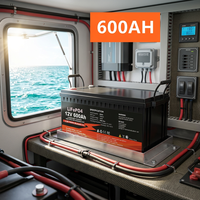 Batterie Lifepo4 au lithium personnalisée en usine 12V 24V 48V 100Ah 200Ah 300Ah 400Ah 600Ah avec BMS intelligent JBD pour système de stockage solaire