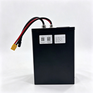Batería de Motocicleta Eléctrica Personalizada, Semi-sólida, LiFePO4, Bluetooth, BMS Integrado, Batería de Litio Compacta para Desplazamientos Urbanos - Product Image 4
