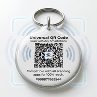 Etiquetas de Identificación para Mascotas Resistentes al Agua, Mini, de PVC/Epoxi/Silicona, Etiquetas de Identificación para Perros Deslizables, Cuadradas, con Dos Orificios, Etiqueta de Identificación para Perro en Blanco, Llavero a Juego