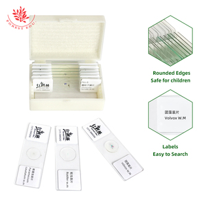 Slide protozoan 10 loại kính hiển vi sinh học rõ ràng euglena, giun đồng hồ, luân trùng, tảo, desmids - Product Image 3