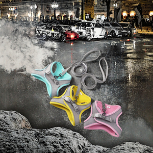 อุปกรณ์สัตว์เลี้ยงขายส่ง เสื้อกั๊กสะท้อนแสงแบบปรับได้ ระบายอากาศได้ดี สำหรับลูกสุนัขและแมว สายรัดอกแบบเป้สะพายหลังสำหรับสุนัขพันธุ์เฟรนช์บูลด็อก พร้อมสายจูง - Product Image 3